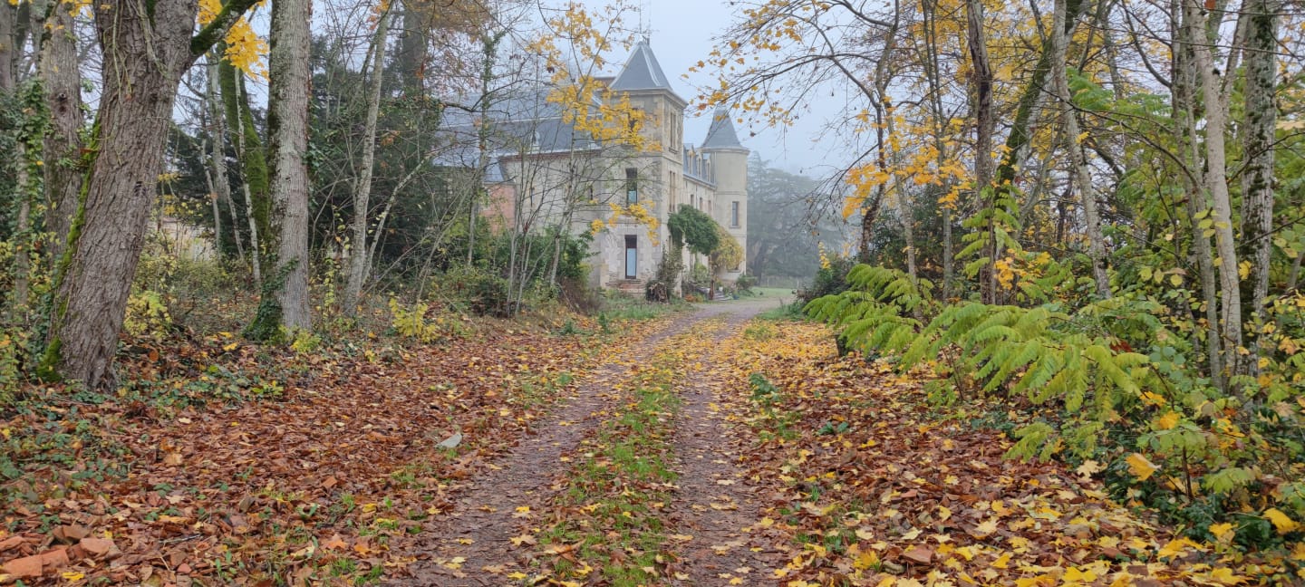 Yoga Ayurveda Pour Le Dos Chateau De La Pierre